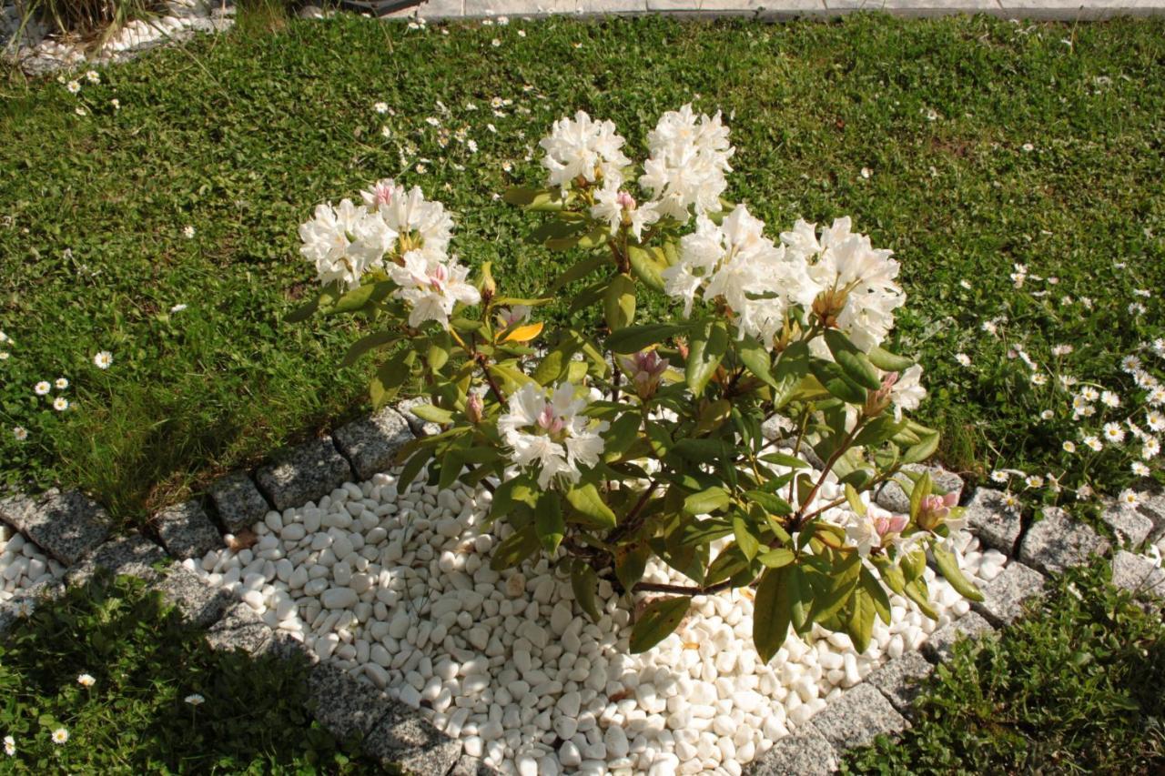 דירות קובלנץ Diamond House Deluxe 6 Koblenz מראה חיצוני תמונה